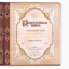 Родословная книга с рамкой под фото «Родословная книга», под дерево, 50 листов, 21,5 х 23,7 см - фото 9253171