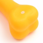 Игрушка пищащая "Кость большая" для собак, 18 см, оранжевая - Фото 3