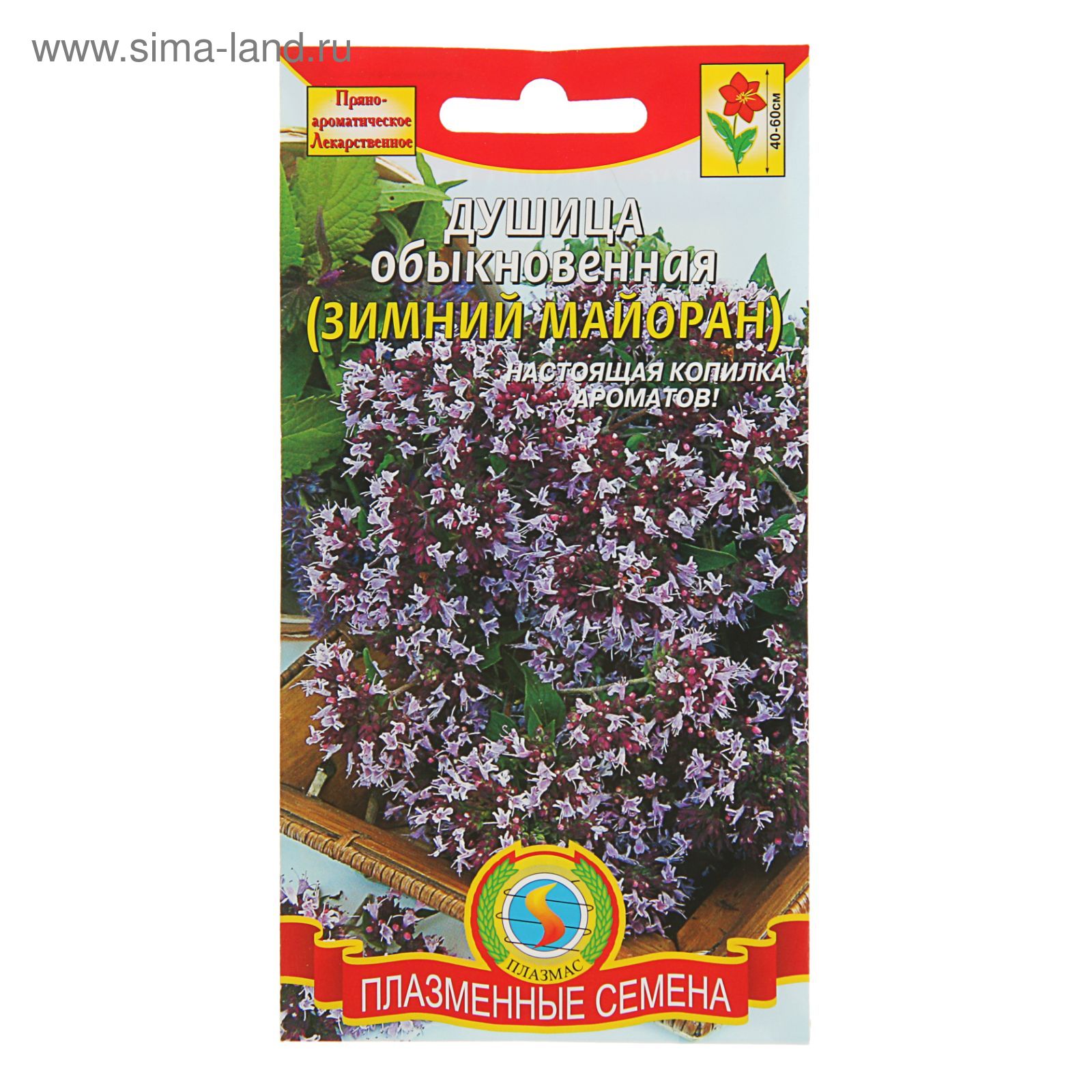 Как выглядят семена душицы Как выглядят семена душицы