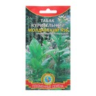 Семена Табак курительный "Молдавский 456", 0,01 г - фото 321003081