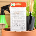 Семена Томат "Лентяйка", раннеспелый, детерминантный,низкорослый,20 шт - Фото 3