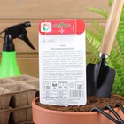 Семена Томат «Ультраскороспелый», раннеспелый, детерминантный, низкорослый 20 шт. - Фото 2