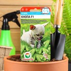 Семена Огурец "Кнопа" F1, раннеспелый, партенокарпический, 7 шт - Фото 1