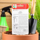 Семена Огурец "Кнопа" F1, раннеспелый, партенокарпический, 7 шт - Фото 3