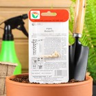 Семена Огурец "Кнопа" F1, раннеспелый, партенокарпический, 7 шт - Фото 2