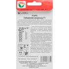 Семена Огурец "Сибирский скороход" F1, ультраскороспелый, партенокарпический, 7 шт - Фото 2