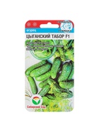 Семена Огурец "Цыганский табор" F1, среднеранний, партенокарпический, 7 шт - Фото 2