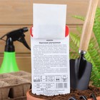 Семена Морковь "Нантская улучшенная", 2 г - Фото 2