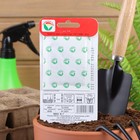 Семена Морковь "Нантская улучшенная", 2 г - Фото 3