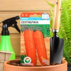 Семена Морковь "Сентябрина", 2 г - фото 318013543