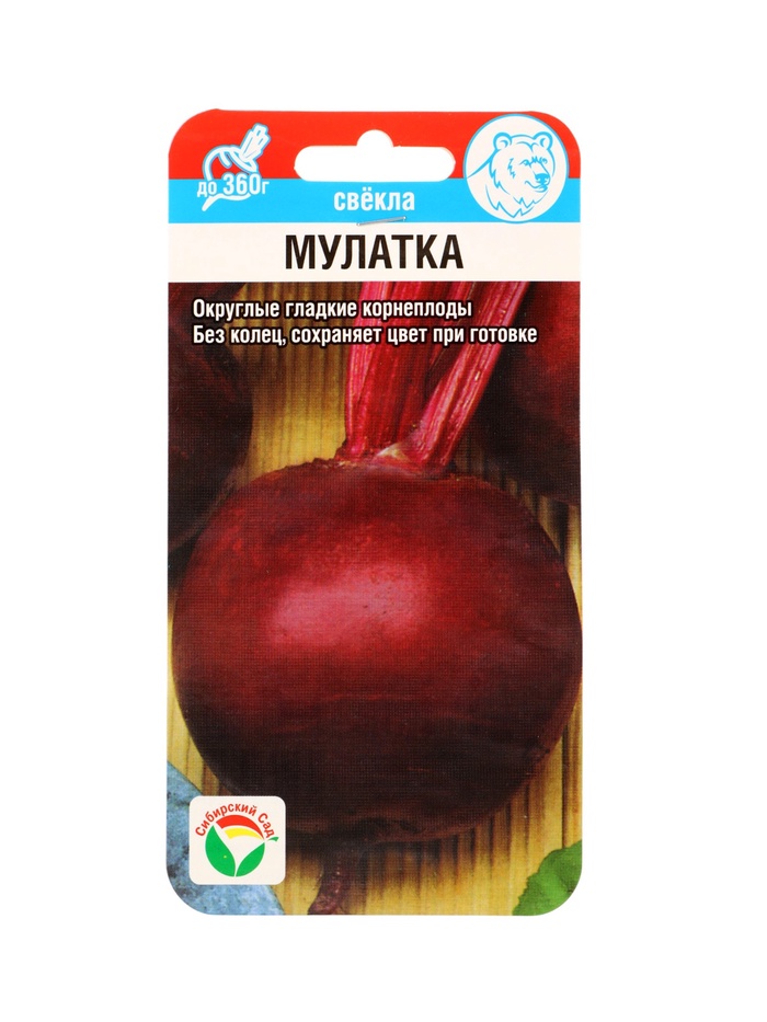 Семена Свекла "Мулатка", 2 г - Фото 1