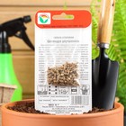 Семена Свекла "Цилиндра улучшенная", 2 г - Фото 2