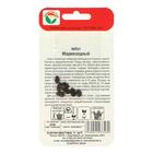 Семена Арбуз "Мармеладный", 7 шт - Фото 3