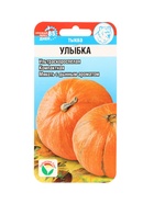 Семена Тыква "Улыбка", 5 шт - Фото 1