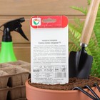 Семена Кукуруза "Супер Супер Сладкая", F1, 6 шт. - Фото 4