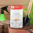 Семена Кукуруза "Супер Супер Сладкая", F1, 6 шт. - Фото 5