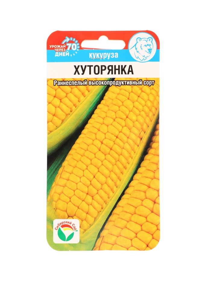 Семена Кукуруза сахарная «Хуторянка», 6 шт., «Сибирский сад» - Фото 1