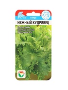 Семена Салат "Нежный кудрявец", 0,5 г - Фото 1