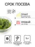 Семена Укроп "Мамонтовый", 1 г - Фото 2