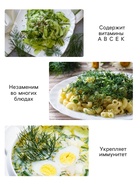 Семена Укроп "Мамонтовый", 1 г - Фото 3