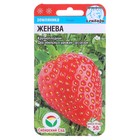 Семена Земляника "Женева", 10 шт - Фото 1