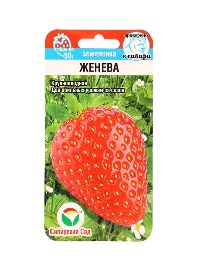 Семена Земляника «Женева», 10 шт., крупноплодная, «Сибирский сад»