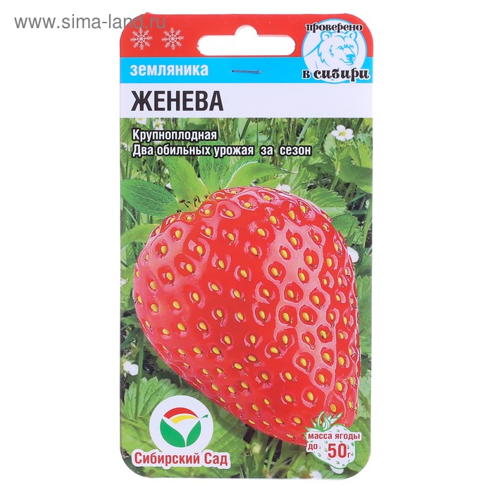 Семена Земляника "Женева", 10 шт - Фото 1