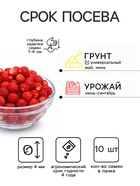 Семена Земляника «Королева Елизавета», 10 шт. - Фото 2