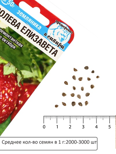 Семена Земляника «Королева Елизавета», 10 шт.