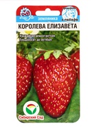 Семена Земляника «Королева Елизавета», 10 шт. - Фото 5