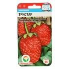 Семена Клубника "Тристар", 10 шт - Фото 4