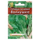 Семена Горчица салатная «Волнушка», 0.5 г, «Аэлита» - Фото 1