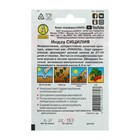 Семена Индау (Руккола) "Сицилия" "Лидер", 0,3 г   , - Фото 2