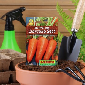 Семена Морковь "Шантенэ 2461" "Лидер", 2 г   ,