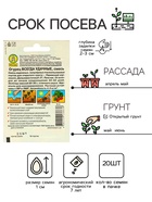 Семена Огурец «Всегда удачные», пчелоопыляемый, смесь, 20 шт., «АЭЛИТА» - Фото 2