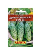 Семена Огурец Друзья-товарищи F1, смесь, 10 шт. - фото 34626325