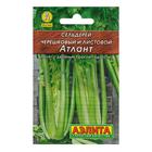 Семена Сельдерей черешковый «Атлант», 0.5 г, «АЭЛИТА» - Фото 1