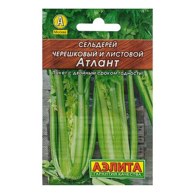 Семена Сельдерей черешковый «Атлант», 0.5 г, «АЭЛИТА»