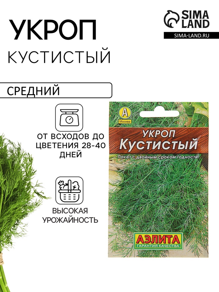Семена Укроп Кустистый, 2 г, «Аэлита» - Фото 1