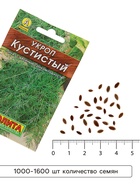 Семена Укроп Кустистый, 2 г, «Аэлита» - Фото 4