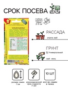 Семена Огурец «Мечта дачника», F1, раннеспелый, партенокарпический, 10 шт., «АЭЛИТА» - Фото 2