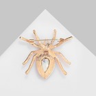 Брошь «Паук», бело-розовая в золоте - Фото 3