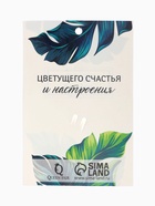 Брошь «Паук», цвет бело-синий в серебре - Фото 6