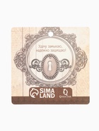 Булавка-оберег «На здоровье» черепаха, 2.2 см, синяя в серебре (комплект 2 шт) - фото 49907266