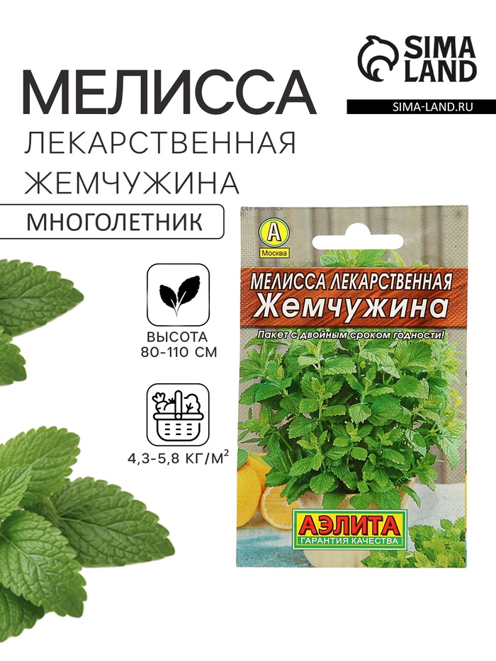 Семена Мелисса лекарственная «Жемчужина», 0.1 г, «Аэлита» - Фото 1
