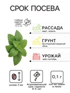 Семена Мелисса лекарственная «Жемчужина», 0.1 г, «Аэлита» - Фото 2