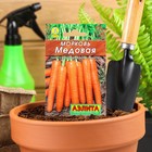Семена Морковь «Медовая», 2 г, «Аэлита» - Фото 1