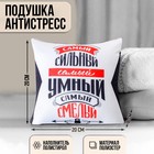 Подушка-антистресс декоративная «Самый сильный, самый умный, самый смелый», 20х20 см 2771935 - фото 7127396