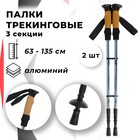 Палки для скандинавской ходьбы ONLITOP, телескопические, 3 секции, до 135 см, 2 шт., цвет МИКС - фото 318014339
