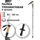 Палка для скандинавской ходьбы ONLITOP, телескопическая, 3 секции, до 135 см, цвет чёрный - фото 8595695